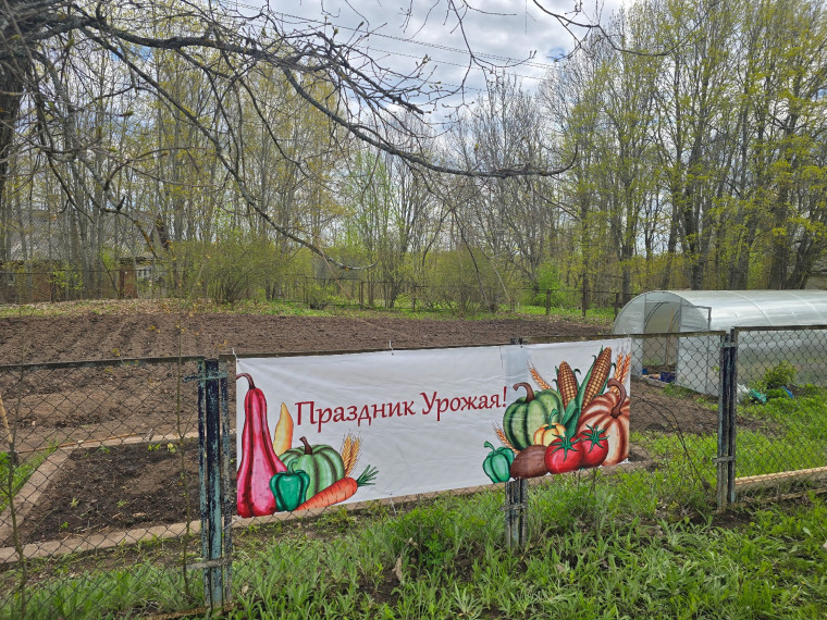 РостОК - с корнями в будущее!.